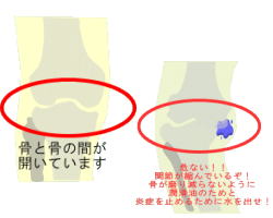�G�Ɂ@�G�ɂ��܂鐅