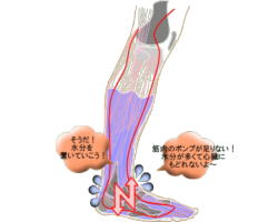 ����݂ނ���